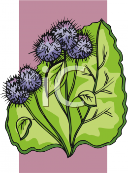 Nature and Scenic Clipart
