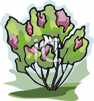 Nature and Scenic Clipart