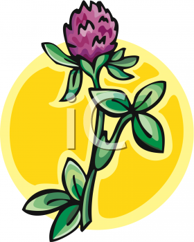 Plant Clipart