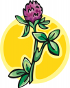 Plant Clipart
