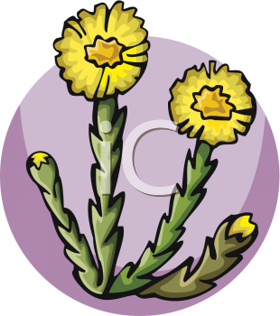 Nature and Scenic Clipart