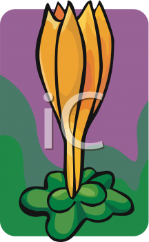 Flower Clipart