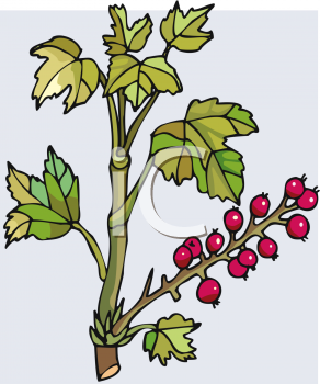 Nature and Scenic Clipart