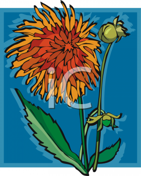 Flower Clipart