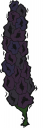Flower Clipart