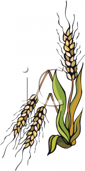 Farming Clipart