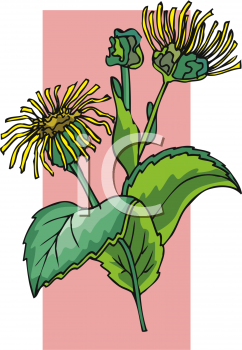 Nature and Scenic Clipart
