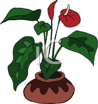 Bird Clipart