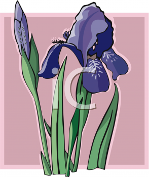 Nature and Scenic Clipart