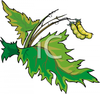 Nature and Scenic Clipart