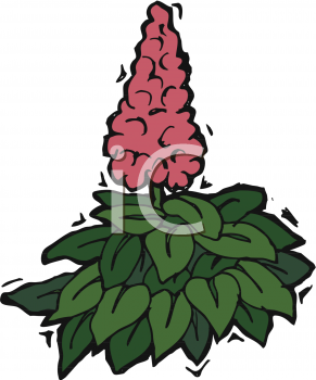 Nature and Scenic Clipart