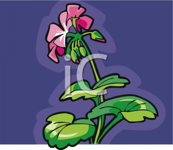 Flower Clipart