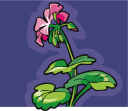 Flower Clipart
