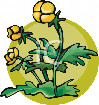 Nature and Scenic Clipart