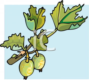 Nature and Scenic Clipart