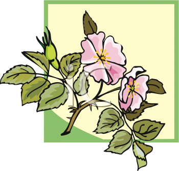 Nature and Scenic Clipart