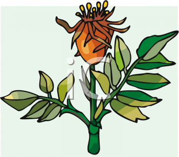 Nature and Scenic Clipart