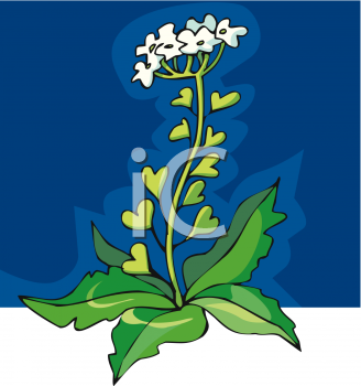 Nature and Scenic Clipart