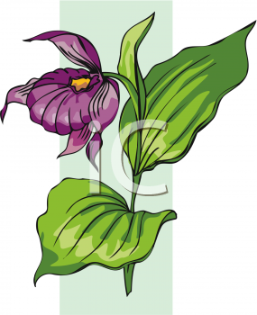 Nature and Scenic Clipart
