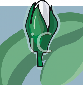 Nature and Scenic Clipart