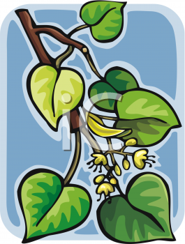 Nature and Scenic Clipart