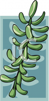 Nature and Scenic Clipart