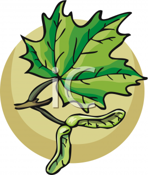 Nature and Scenic Clipart