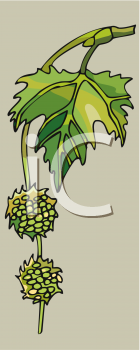 Grass and Tree Clipart
