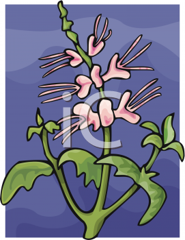 Nature and Scenic Clipart