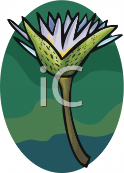 Nature and Scenic Clipart