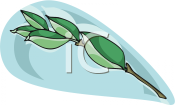 Nature and Scenic Clipart