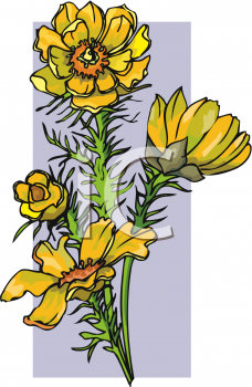 Nature and Scenic Clipart