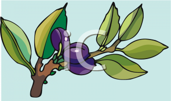 Nature and Scenic Clipart
