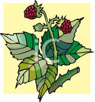 Nature and Scenic Clipart