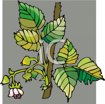 Nature and Scenic Clipart