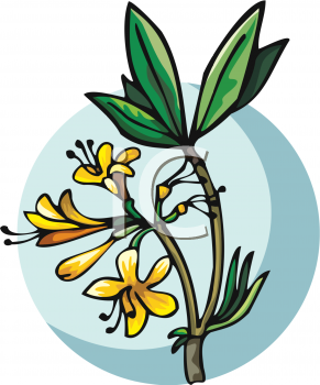 Nature and Scenic Clipart