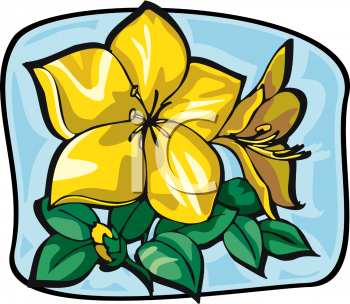 Flower Clipart