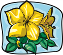 Flower Clipart