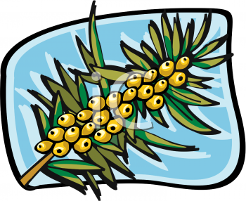 Nature and Scenic Clipart