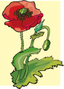 Flower Clipart