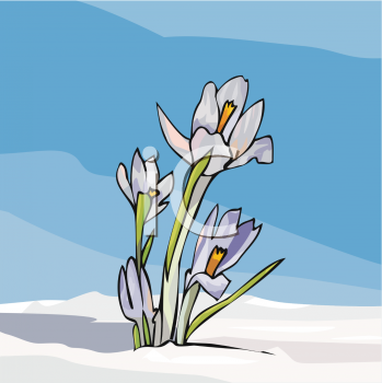Nature and Scenic Clipart