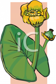 Nature and Scenic Clipart