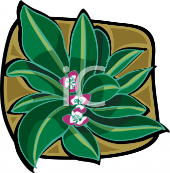 Nature and Scenic Clipart