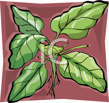 Food Clipart