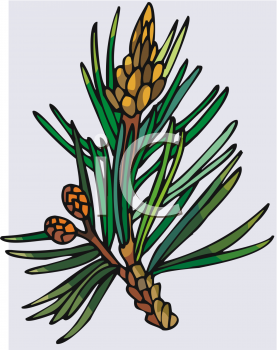 Grass and Tree Clipart