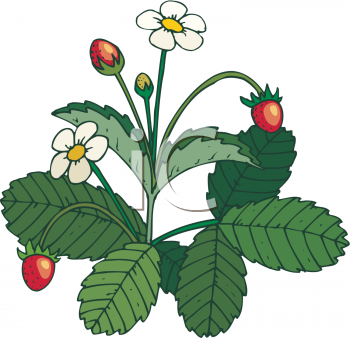 Farm Produce Clipart