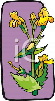 Nature and Scenic Clipart