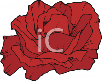 Flower Clipart