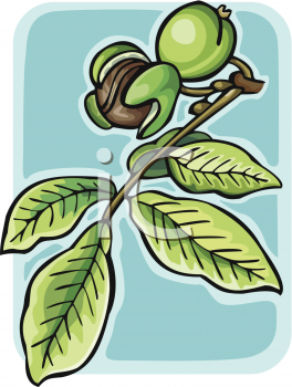 Nature and Scenic Clipart