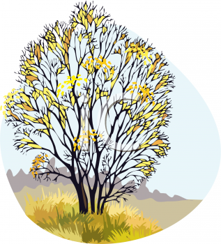 Nature and Scenic Clipart